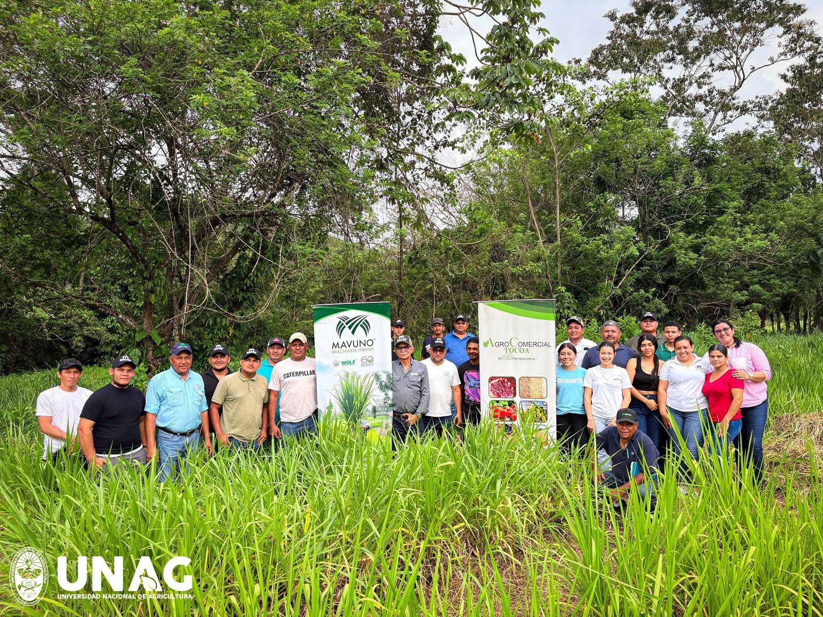 UNAG impulsa el manejo de pasturas con productores del proyecto MAF-Ganadería